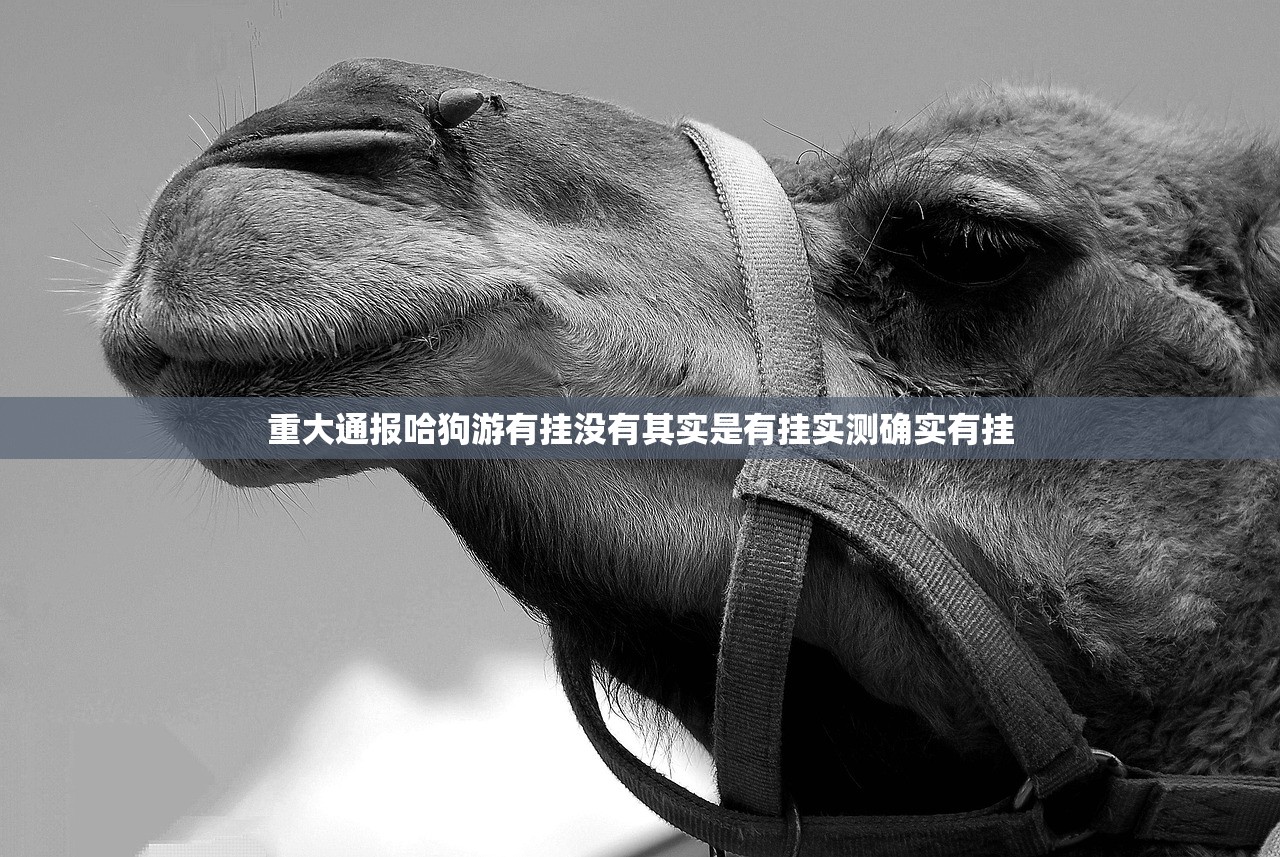 重大通报欢乐联盟到底有挂吗(原来确实是有挂)