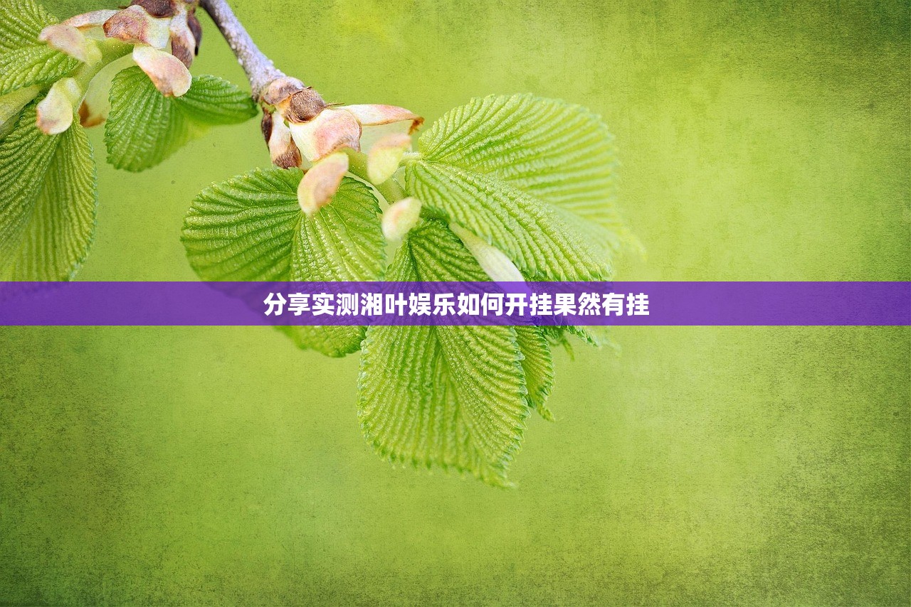 分享实测湘叶娱乐如何开挂果然有挂