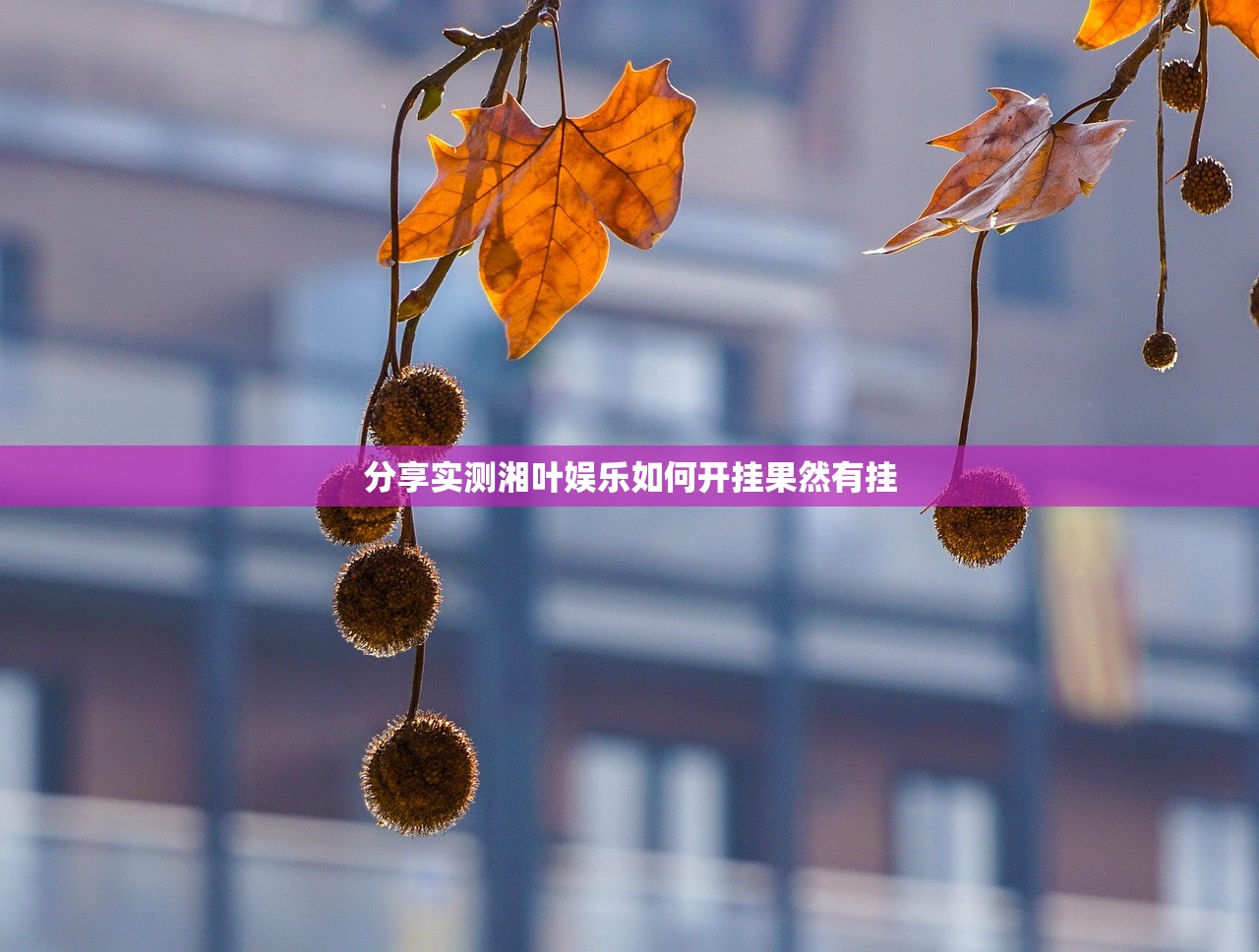 分享实测湘叶娱乐如何开挂果然有挂