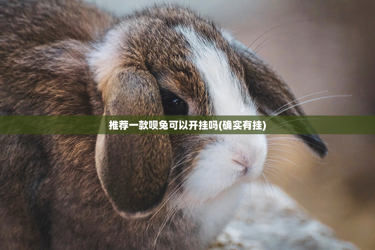 推荐一款呗兔可以开挂吗(确实有挂)