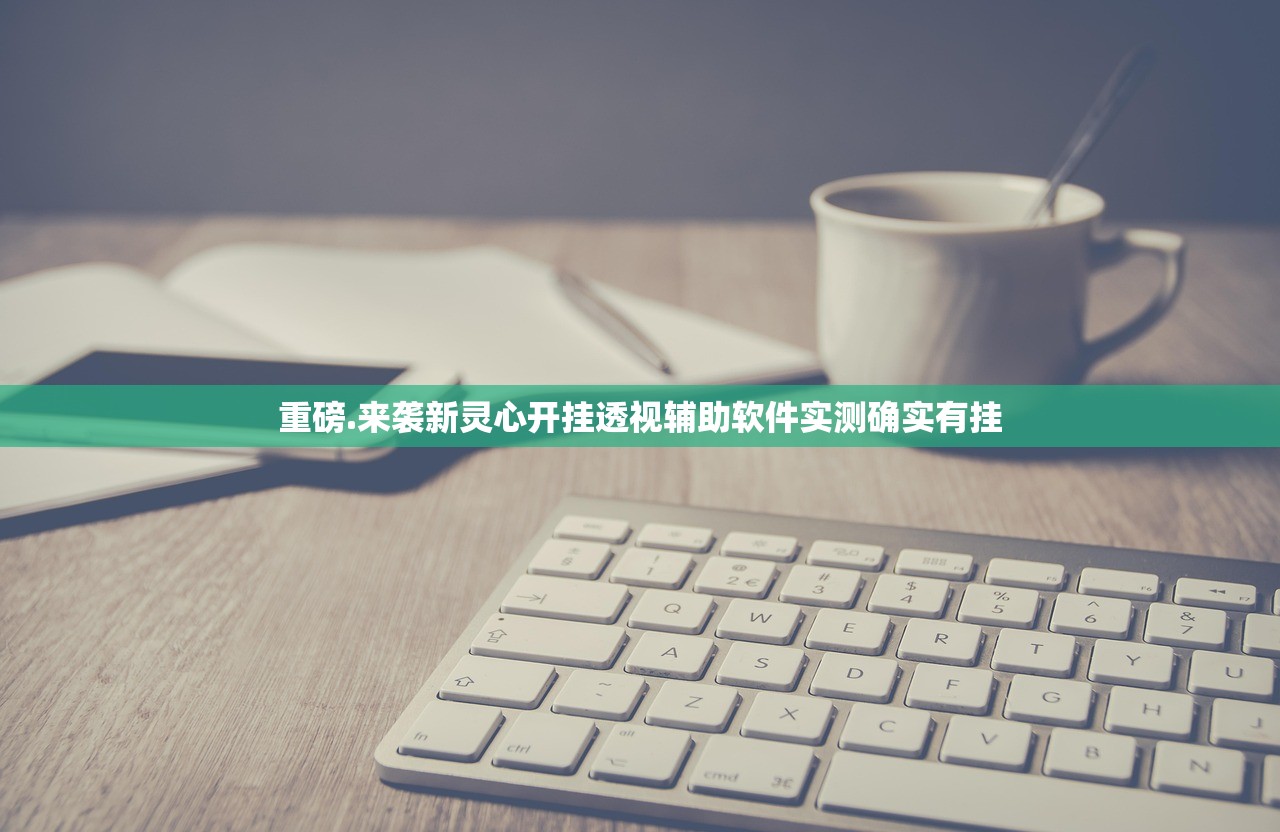 重磅.来袭新灵心开挂透视辅助软件实测确实有挂