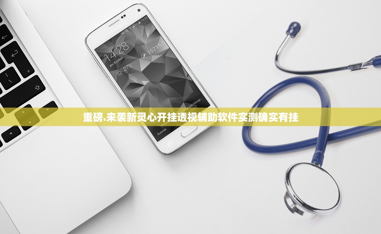 重磅.来袭新灵心开挂透视辅助软件实测确实有挂