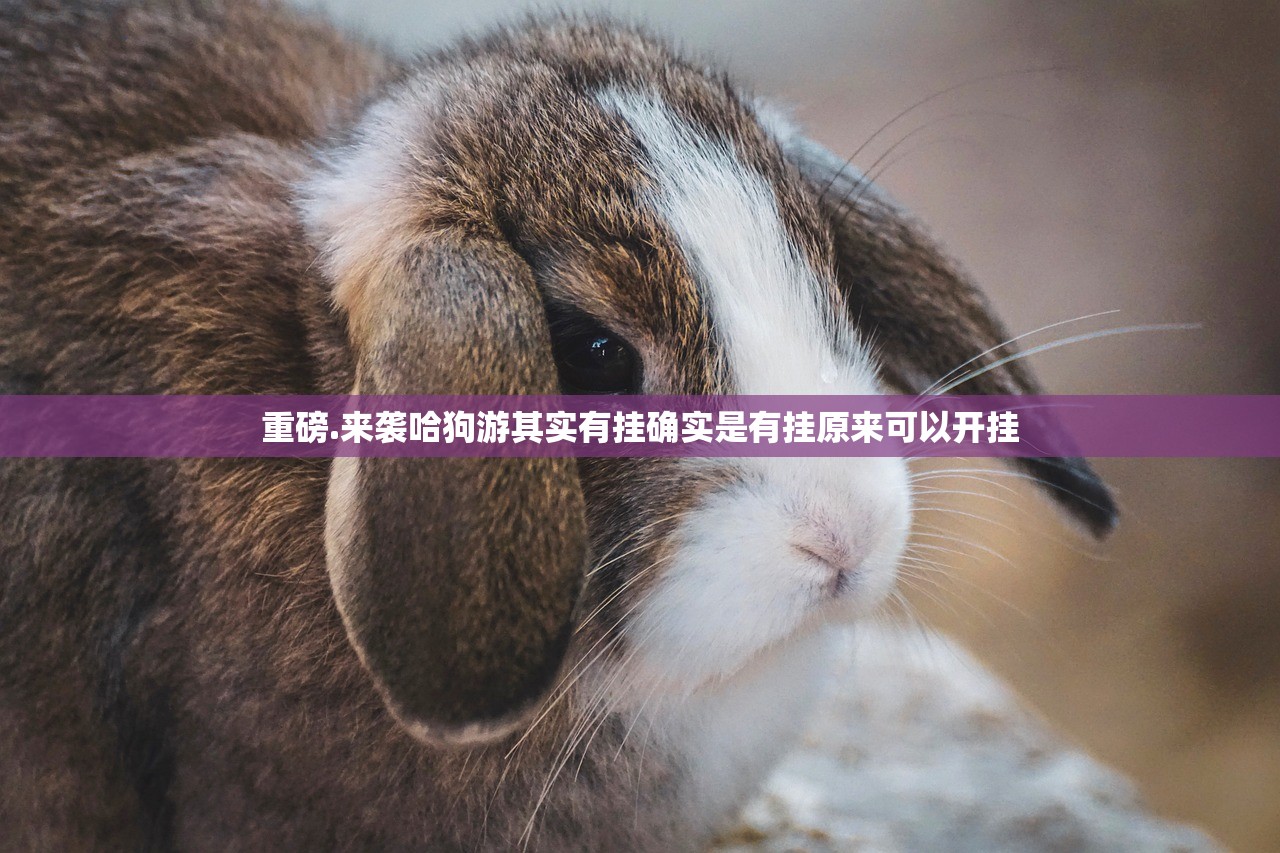 重磅.来袭哈狗游其实有挂确实是有挂原来可以开挂