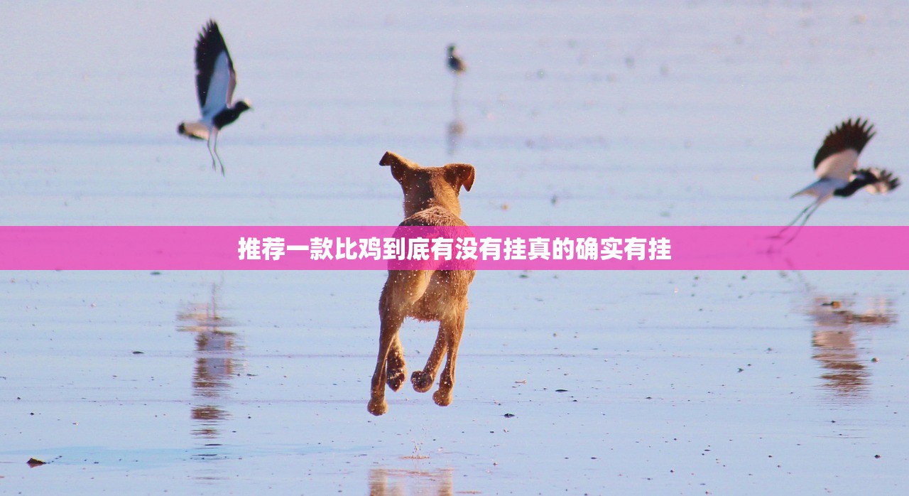 推荐一款比鸡到底有没有挂真的确实有挂