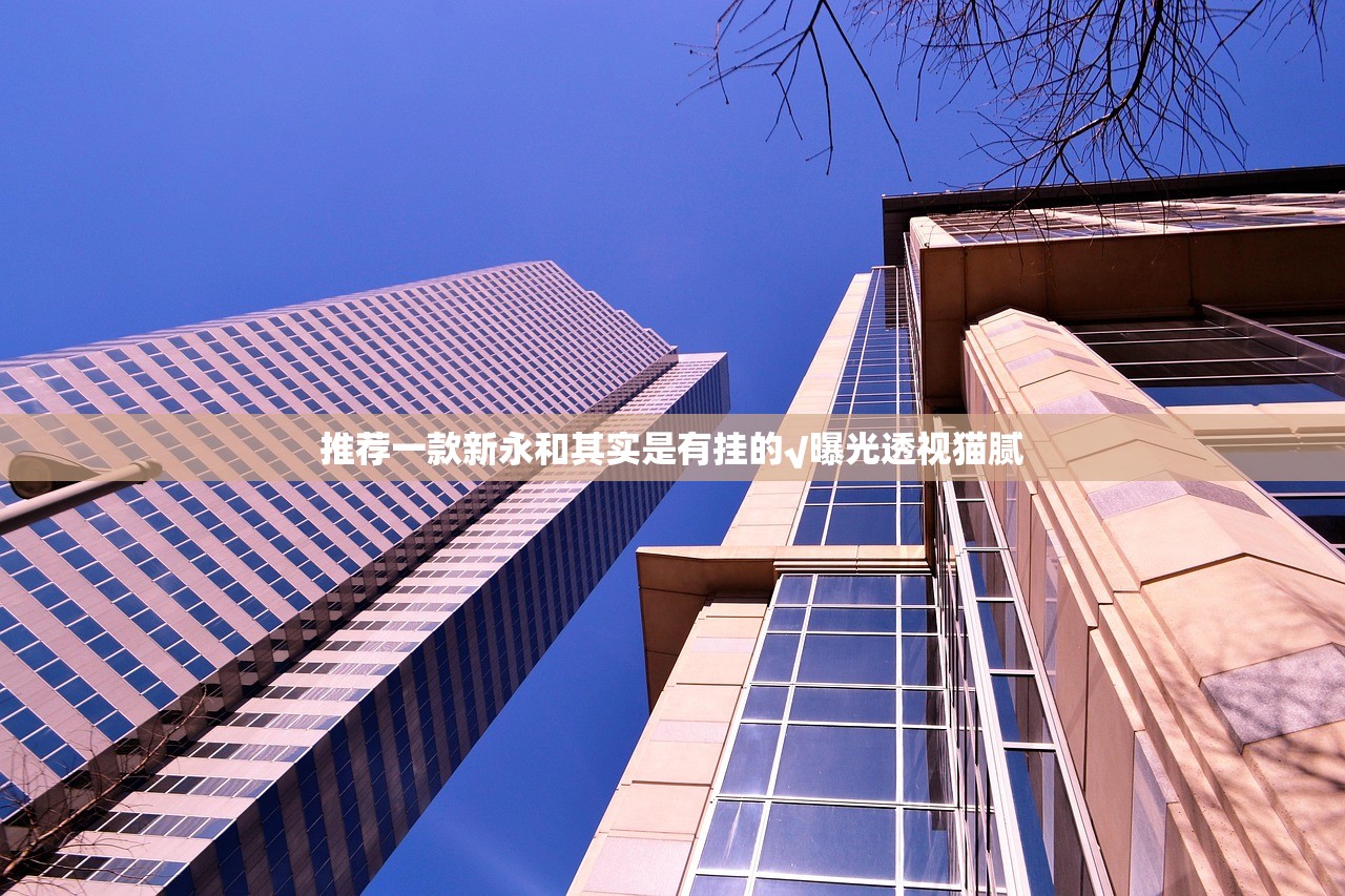 分享实测中至窝龙如何开挂！详细开挂教程(确实有挂)
