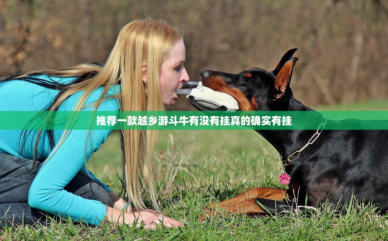 分享实测中至窝龙如何开挂！详细开挂教程(确实有挂)