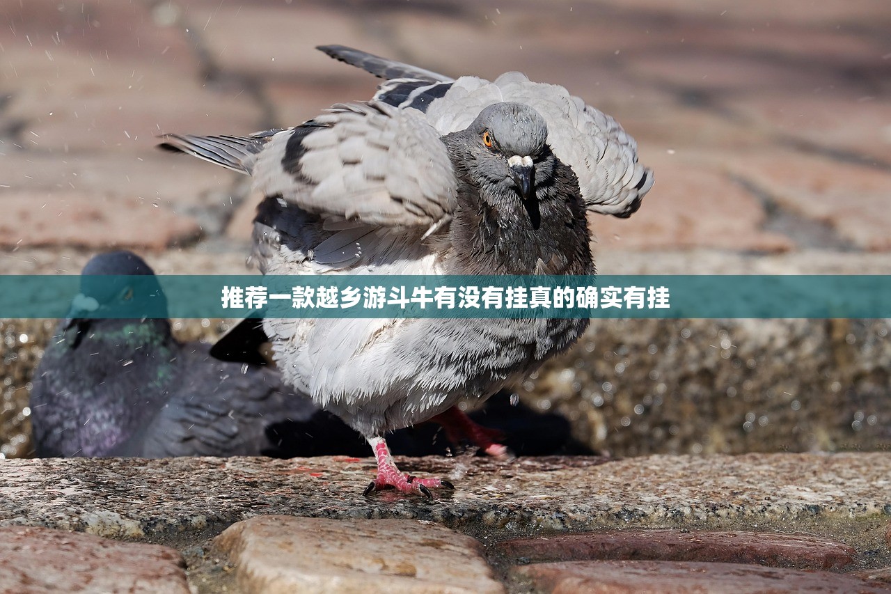 推荐一款越乡游斗牛有没有挂真的确实有挂
