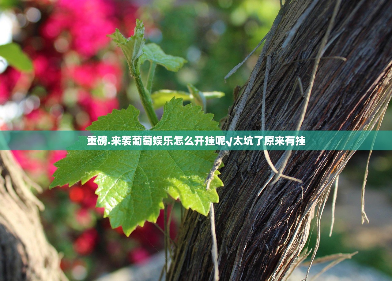 重磅.来袭葡萄娱乐怎么开挂呢√太坑了原来有挂