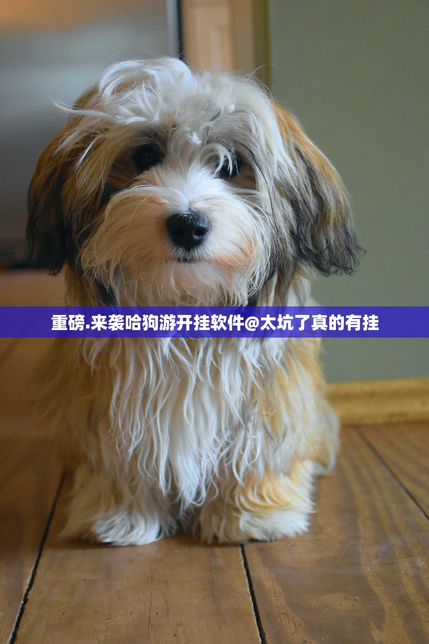 分享实测毛豆互娱究竟有没有挂!真的确实有挂