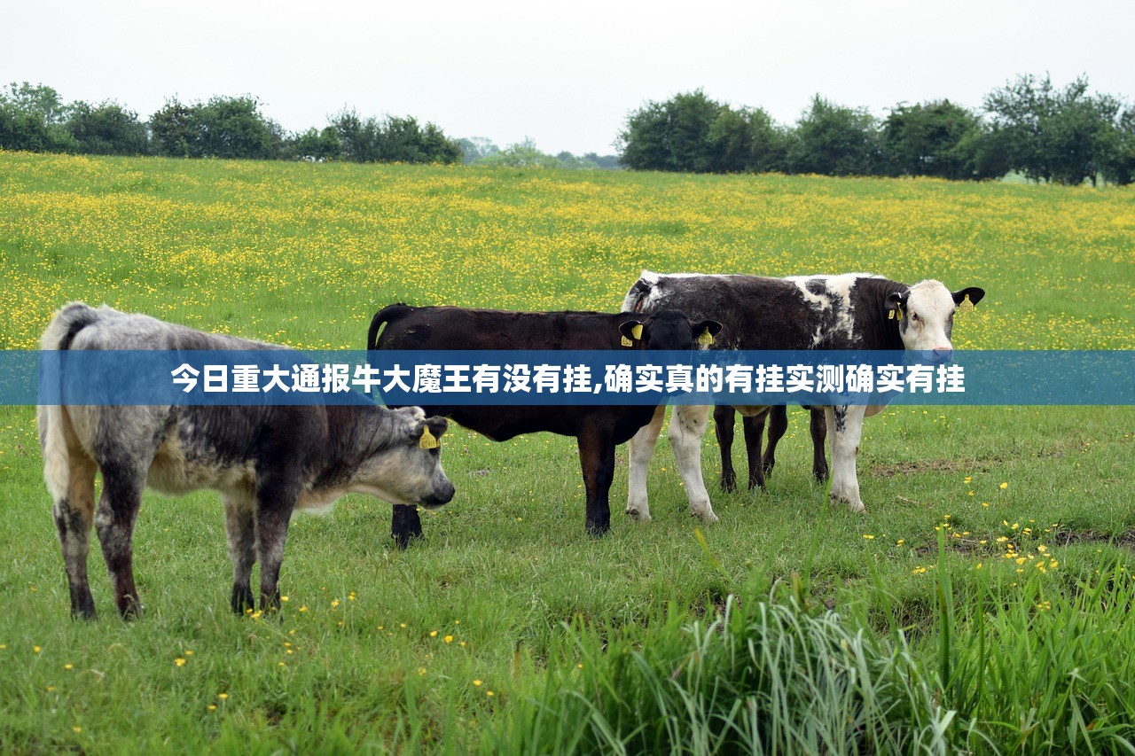 今日重大通报牛大魔王有没有挂,确实真的有挂实测确实有挂