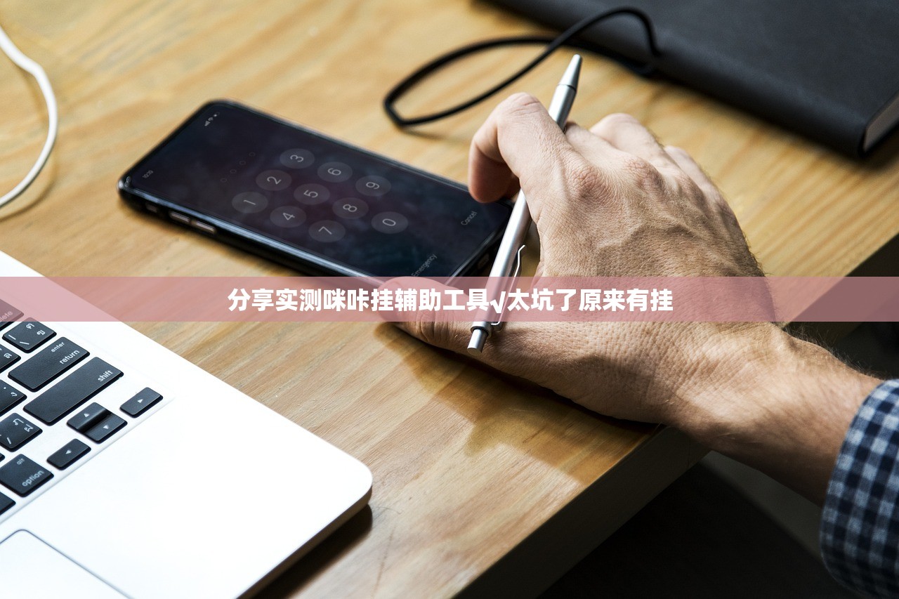 分享实测咪咔挂辅助工具√太坑了原来有挂