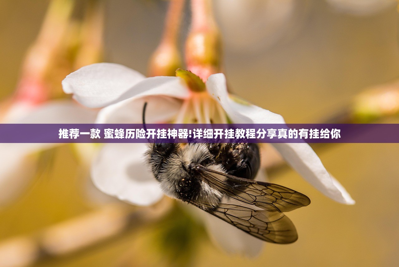 推荐一款 蜜蜂历险开挂神器!详细开挂教程分享真的有挂给你