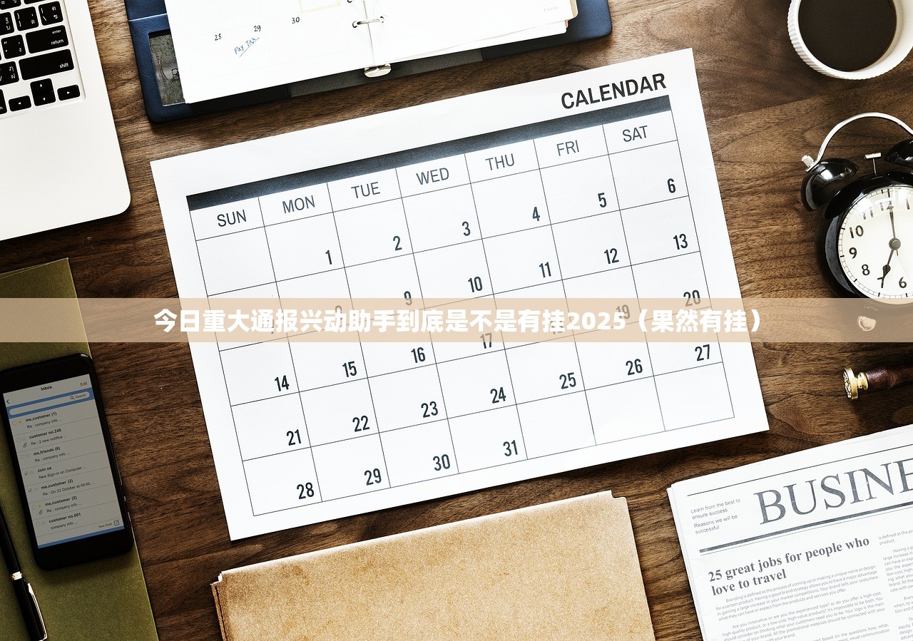 今日重大通报兴动助手到底是不是有挂2025（果然有挂）
