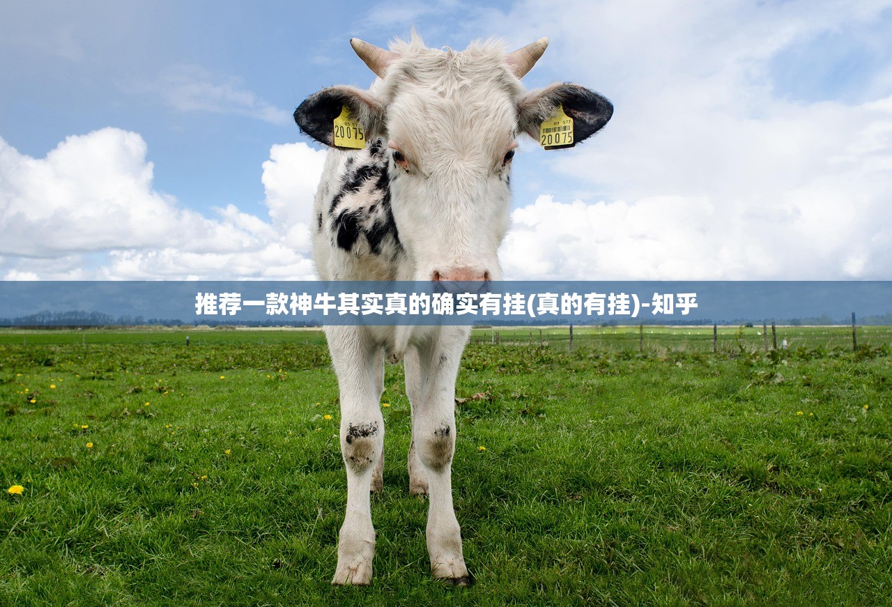 推荐一款神牛其实真的确实有挂(真的有挂)-知乎