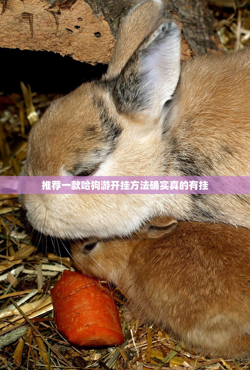 推荐一款哈狗游开挂方法确实真的有挂