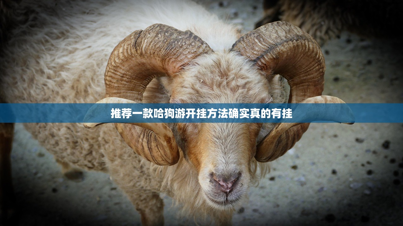 推荐一款哈狗游开挂方法确实真的有挂