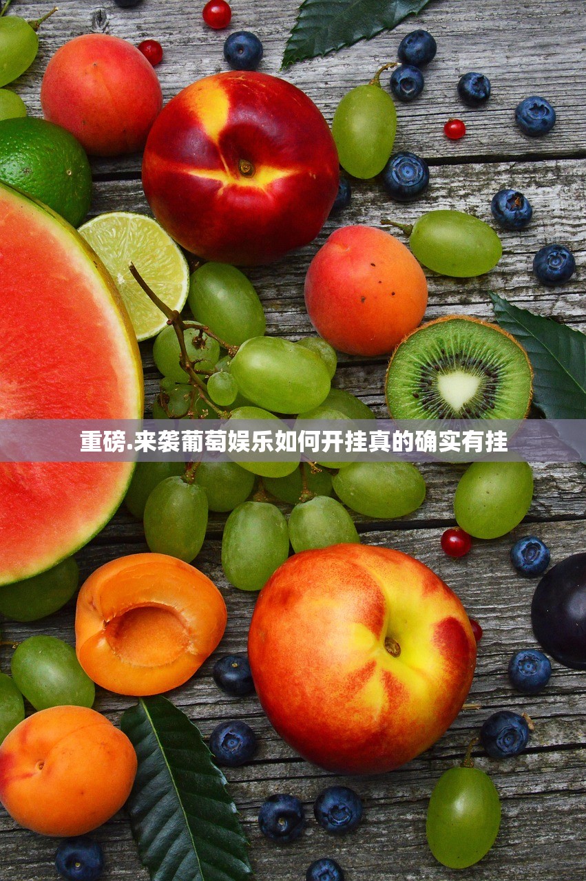 重磅.来袭葡萄娱乐如何开挂真的确实有挂