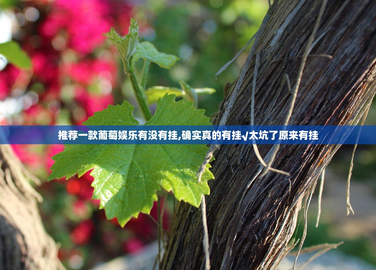 推荐一款葡萄娱乐有没有挂,确实真的有挂√太坑了原来有挂