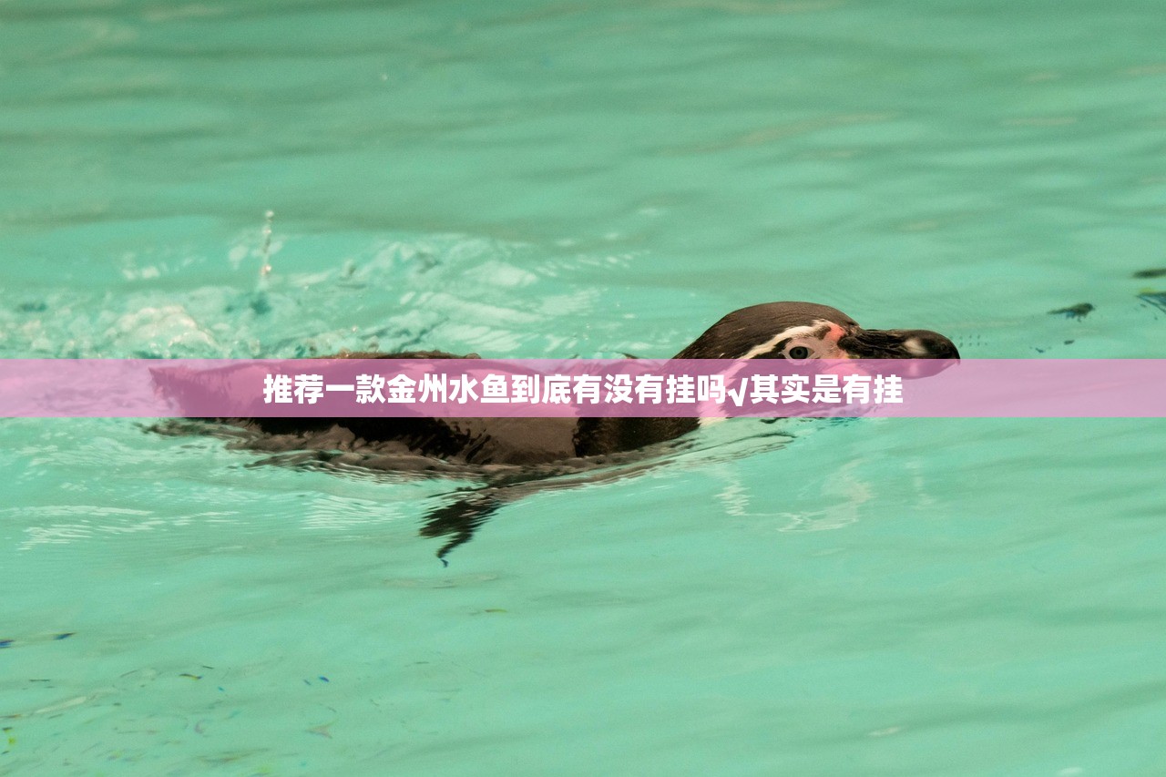 推荐一款金州水鱼到底有没有挂吗√其实是有挂