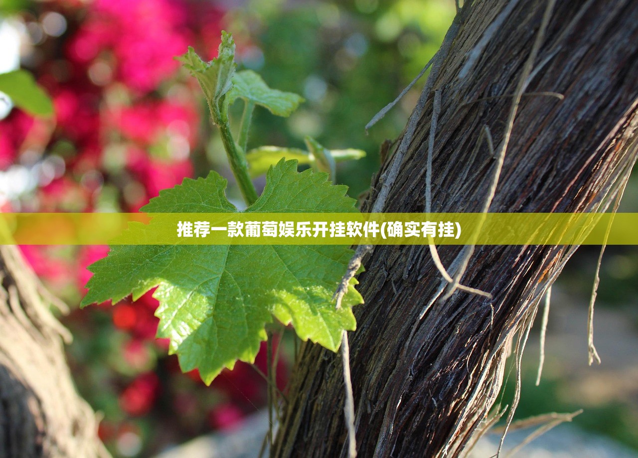 推荐一款葡萄娱乐开挂软件(确实有挂)