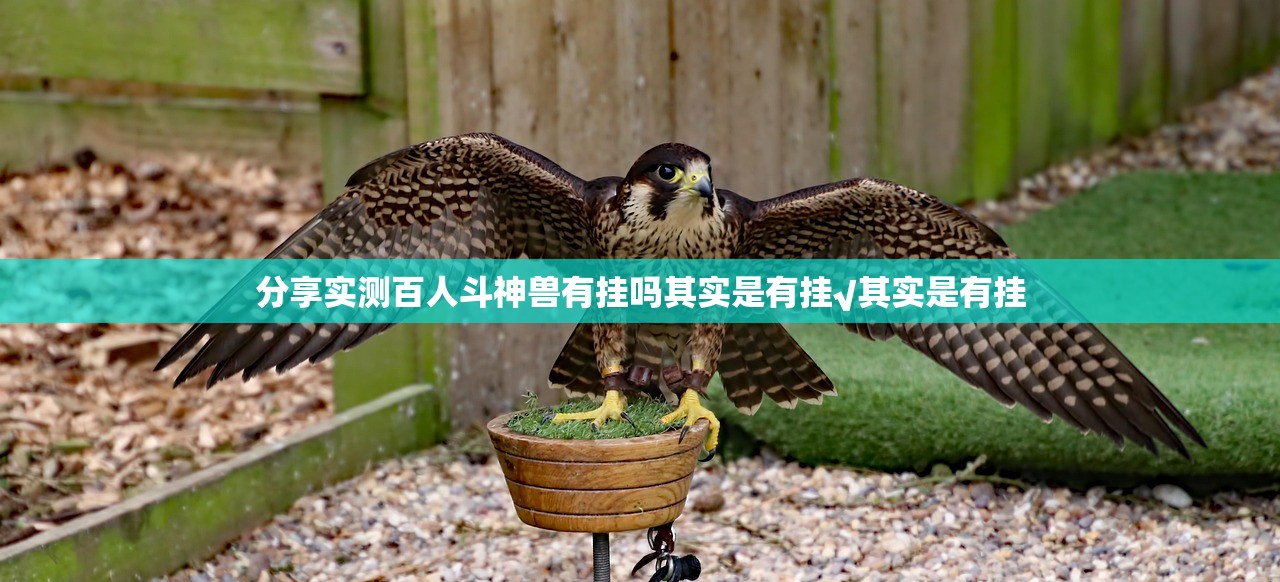 分享实测百人斗神兽有挂吗其实是有挂√其实是有挂