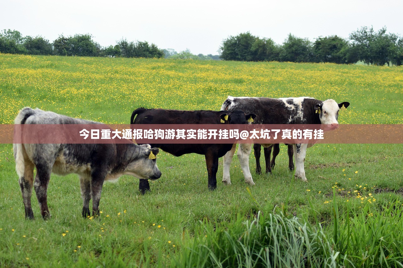 今日重大通报哈狗游其实能开挂吗@太坑了真的有挂
