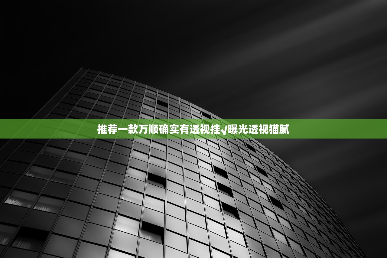 推荐一款万顺确实有透视挂√曝光透视猫腻