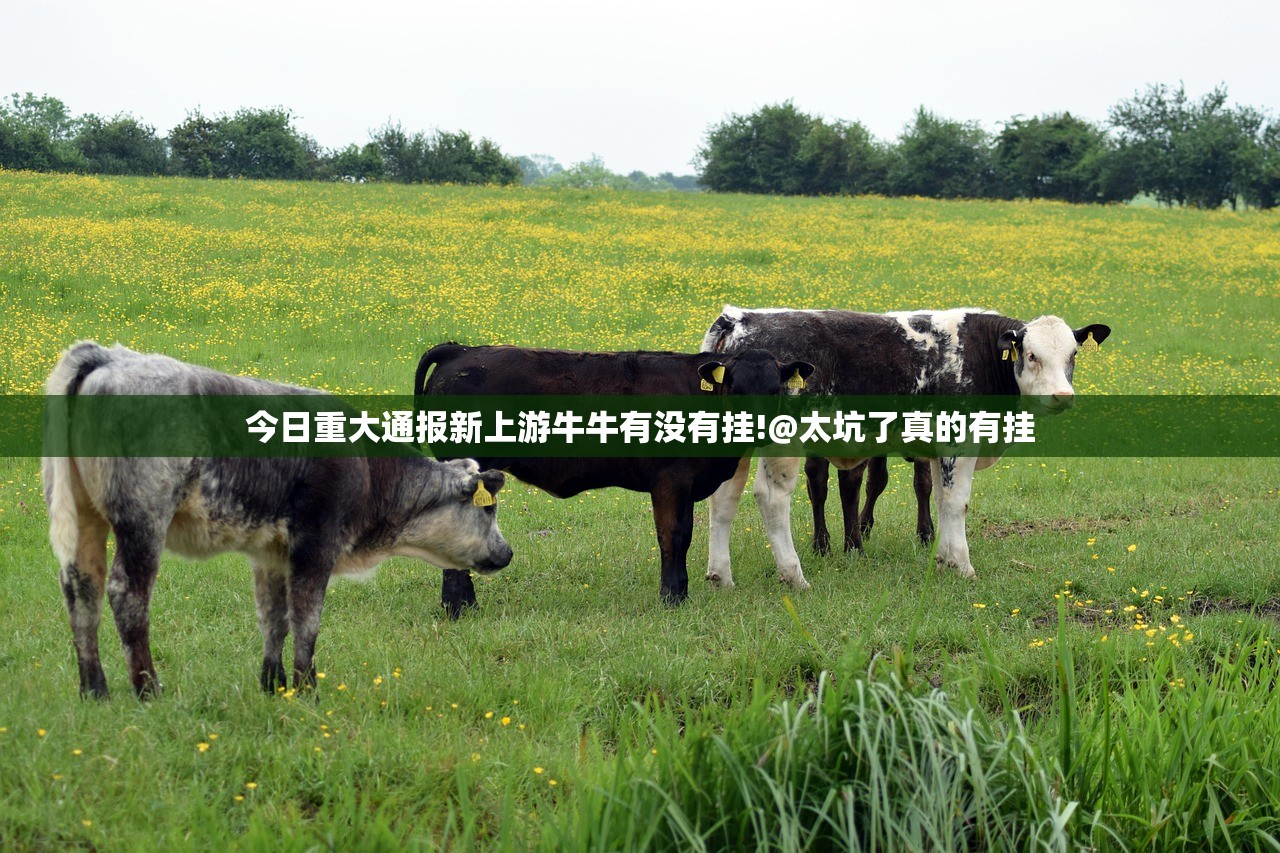重磅.来袭忆游八张清开挂神器下载(其实真的能开挂)