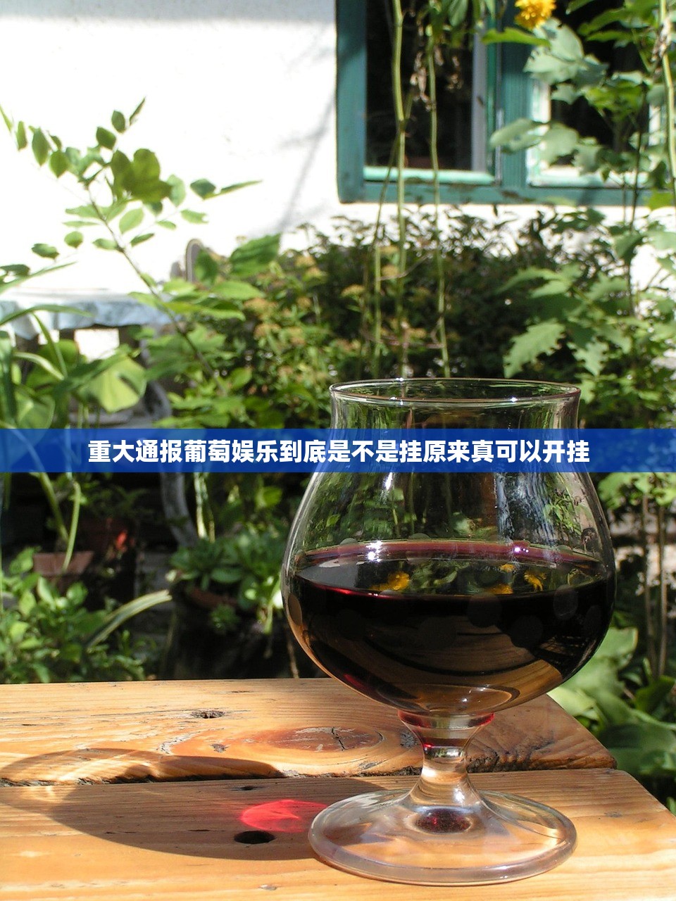 重大通报葡萄娱乐到底是不是挂原来真可以开挂