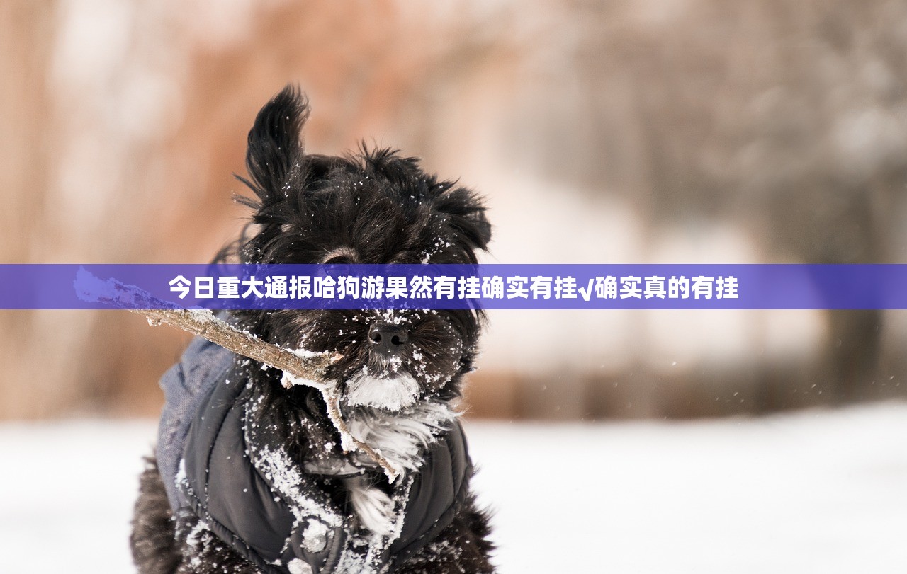 今日重大通报哈狗游果然有挂确实有挂√确实真的有挂