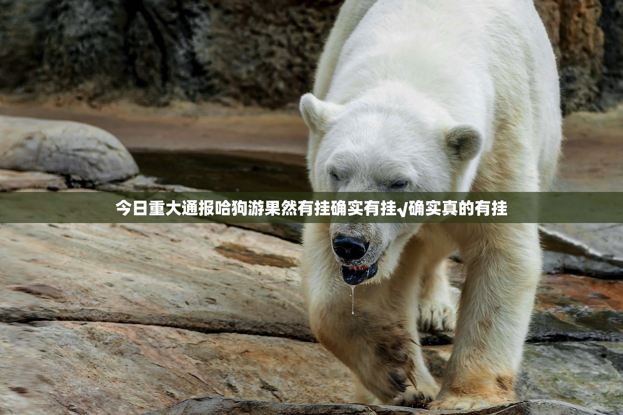 今日重大通报哈狗游果然有挂确实有挂√确实真的有挂