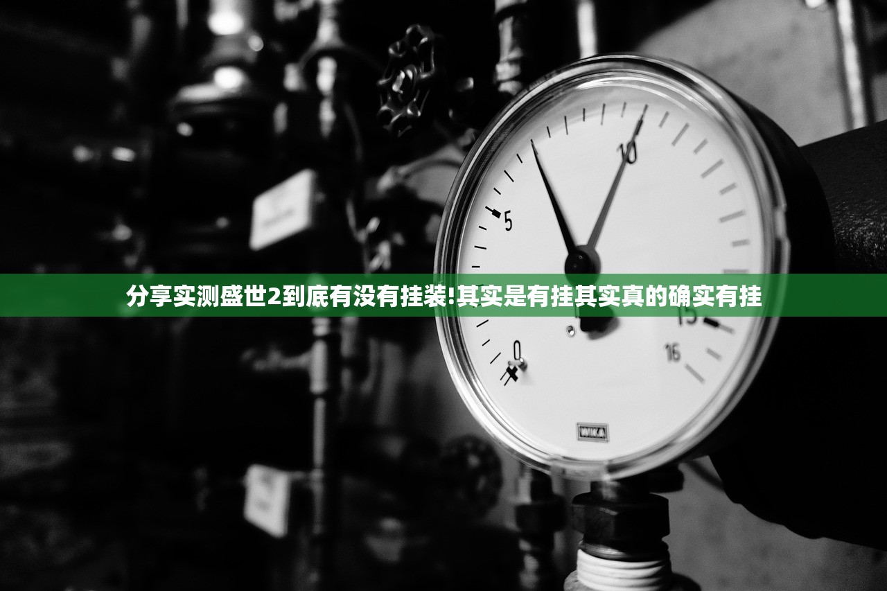 分享实测盛世2到底有没有挂装!其实是有挂其实真的确实有挂