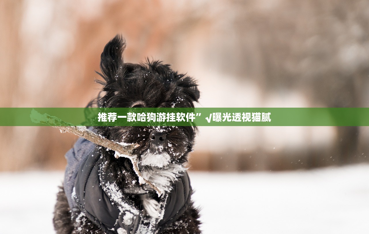 推荐一款哈狗游挂软件”√曝光透视猫腻