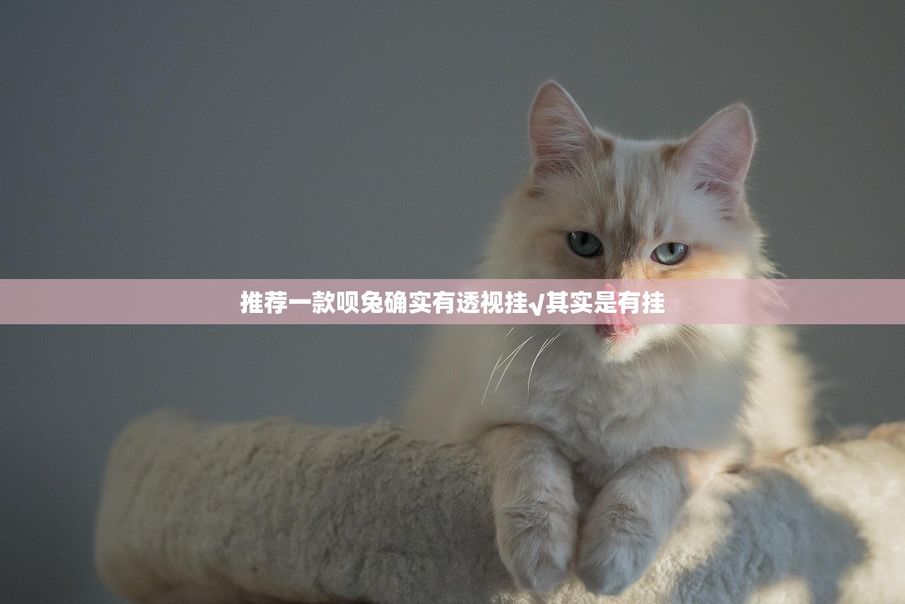 推荐一款呗兔确实有透视挂√其实是有挂