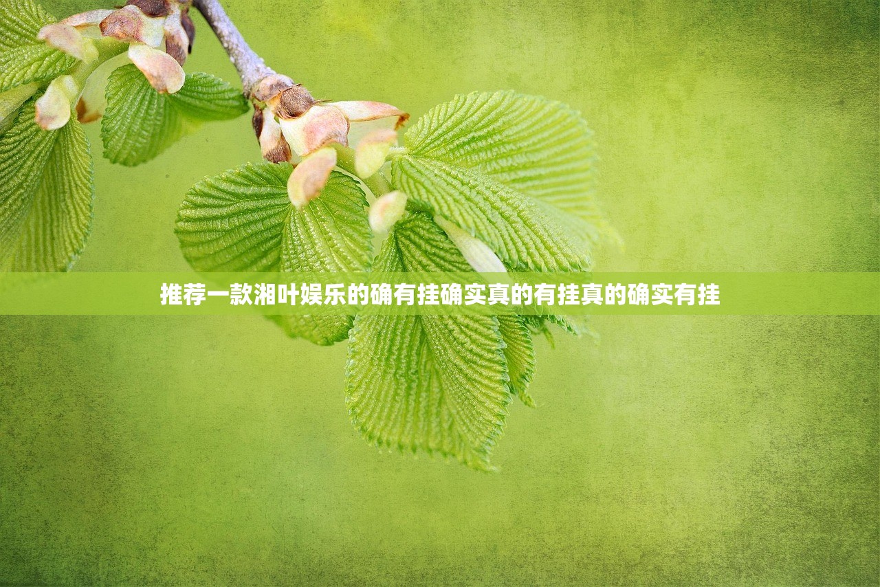 分享实测贺州玩到底有没有挂可以装(确实有挂)