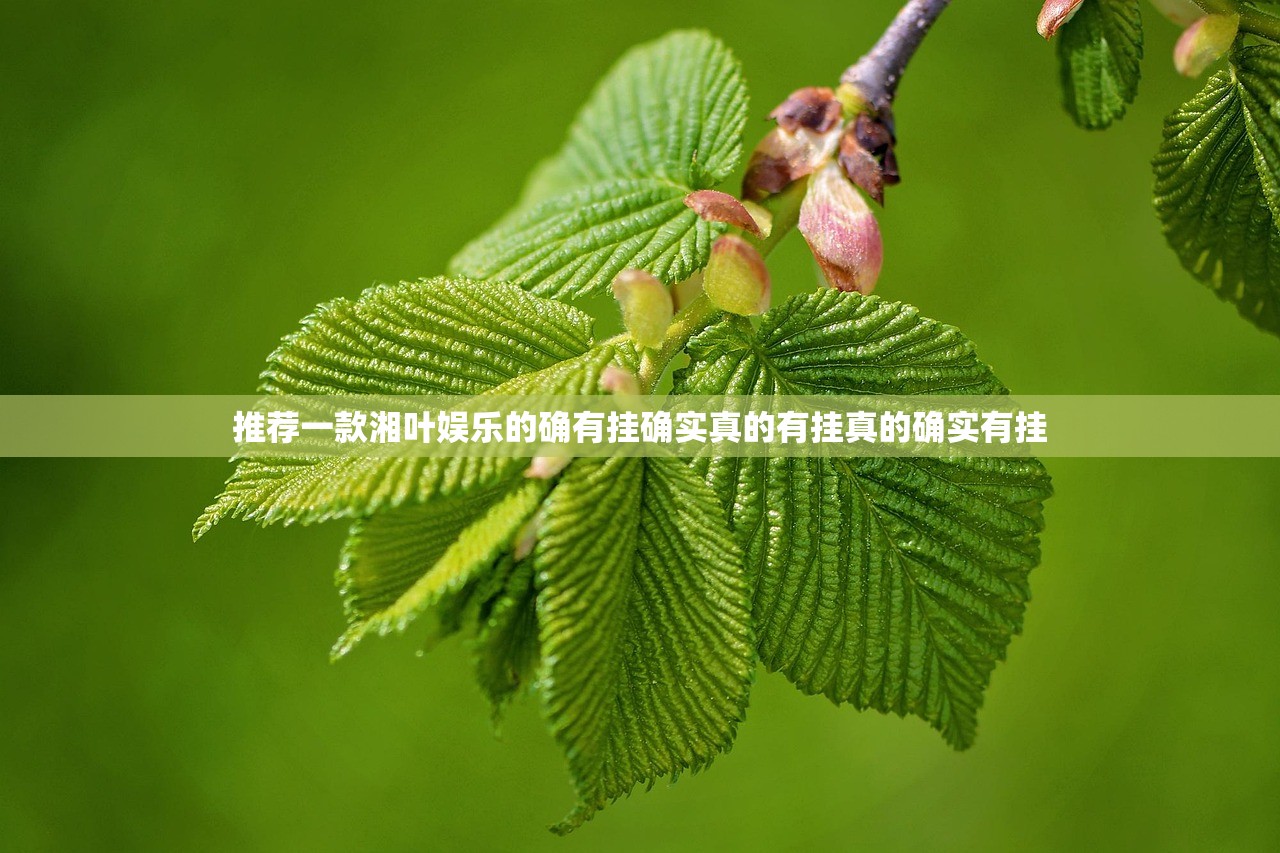 推荐一款湘叶娱乐的确有挂确实真的有挂真的确实有挂