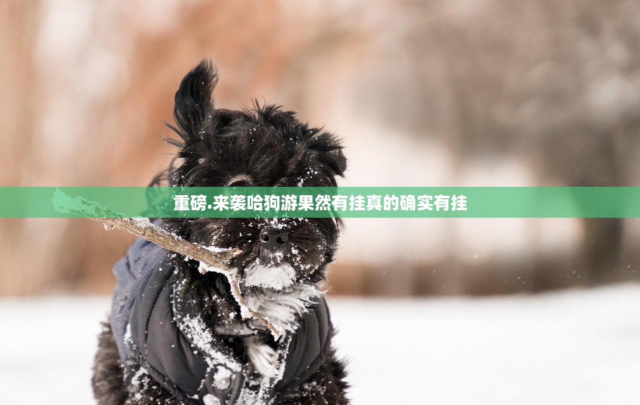 重磅.来袭哈狗游果然有挂真的确实有挂