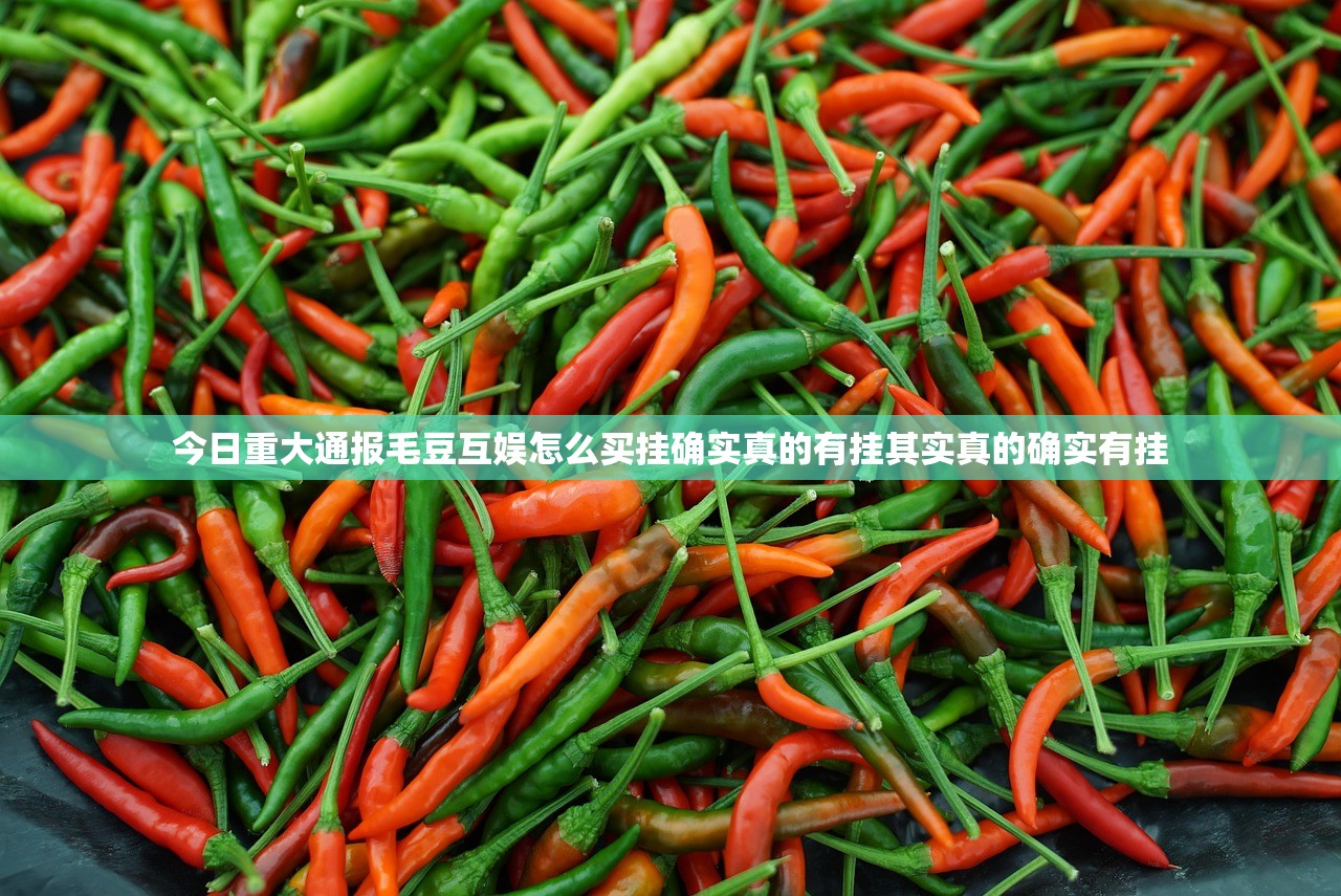 今日重大通报毛豆互娱怎么买挂确实真的有挂其实真的确实有挂