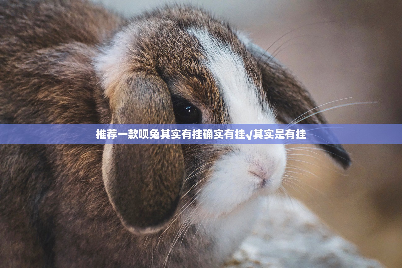 推荐一款呗兔其实有挂确实有挂√其实是有挂