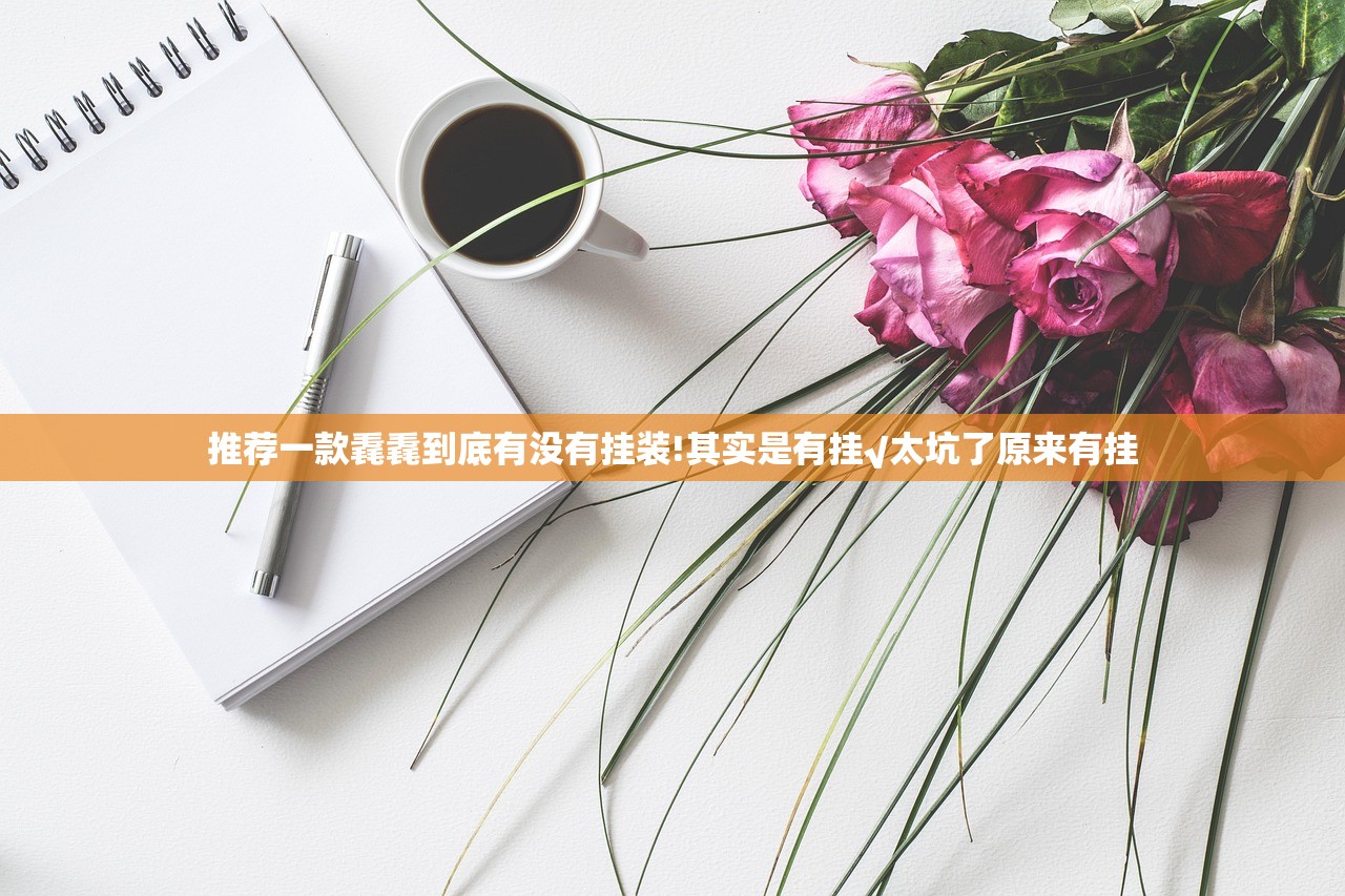 推荐一款毳毳到底有没有挂装!其实是有挂√太坑了原来有挂