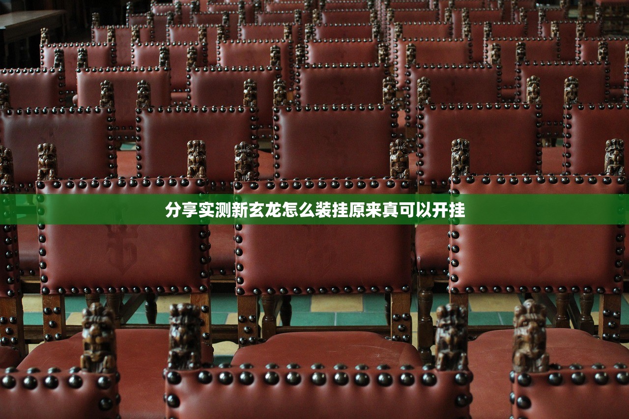 分享实测新玄龙怎么装挂原来真可以开挂