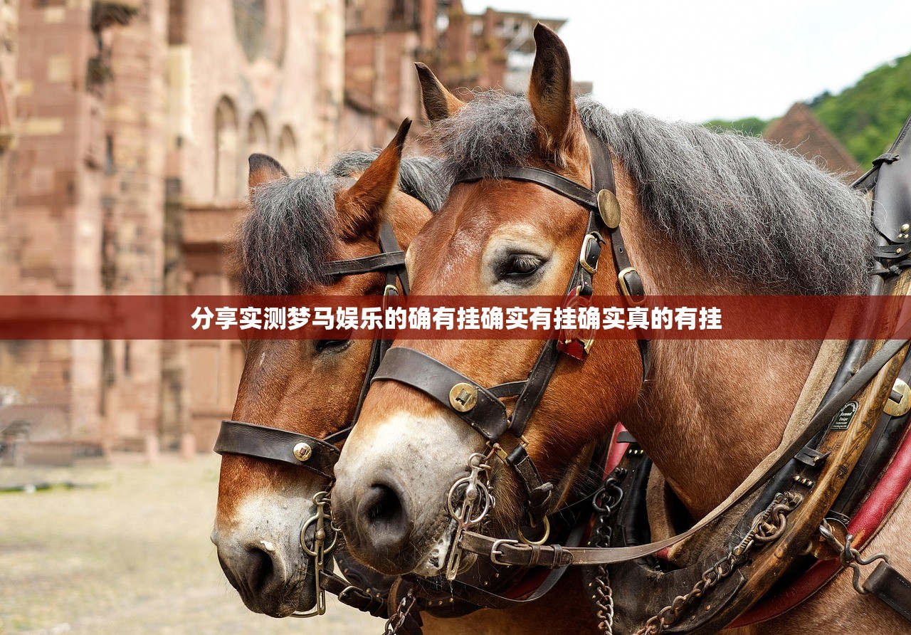 分享实测梦马娱乐的确有挂确实有挂确实真的有挂