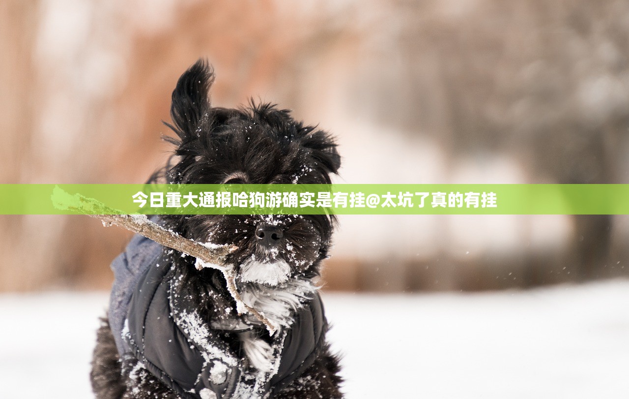 今日重大通报哈狗游确实是有挂@太坑了真的有挂