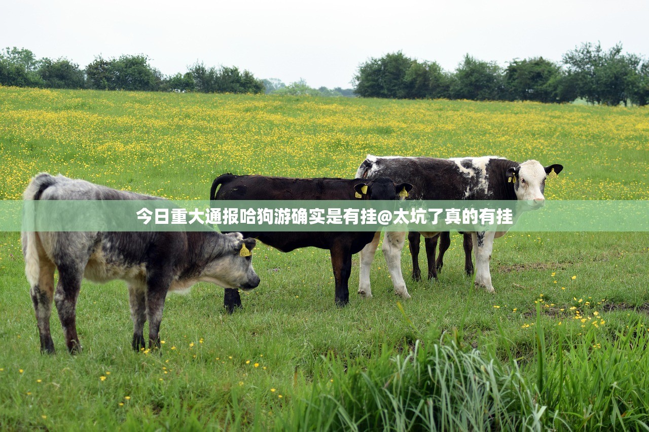 今日重大通报哈狗游确实是有挂@太坑了真的有挂