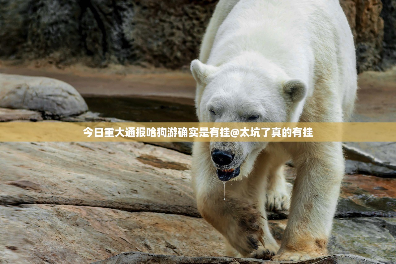 今日重大通报哈狗游确实是有挂@太坑了真的有挂