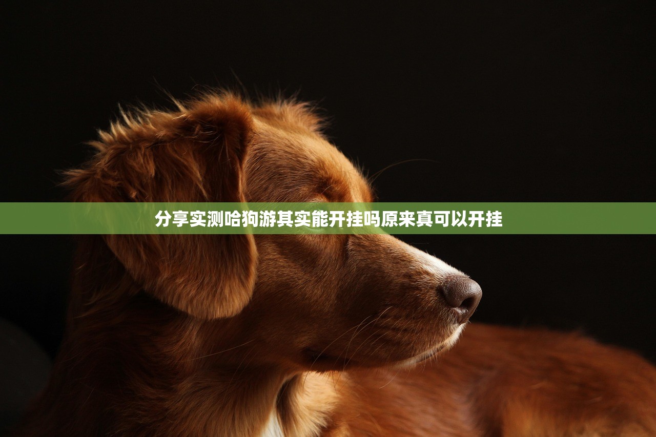 分享实测哈狗游其实能开挂吗原来真可以开挂