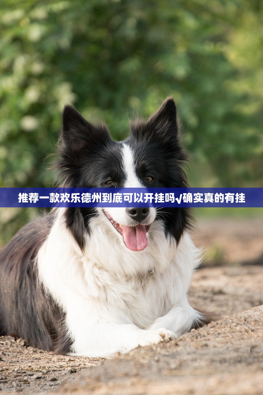 推荐一款欢乐德州到底可以开挂吗√确实真的有挂
