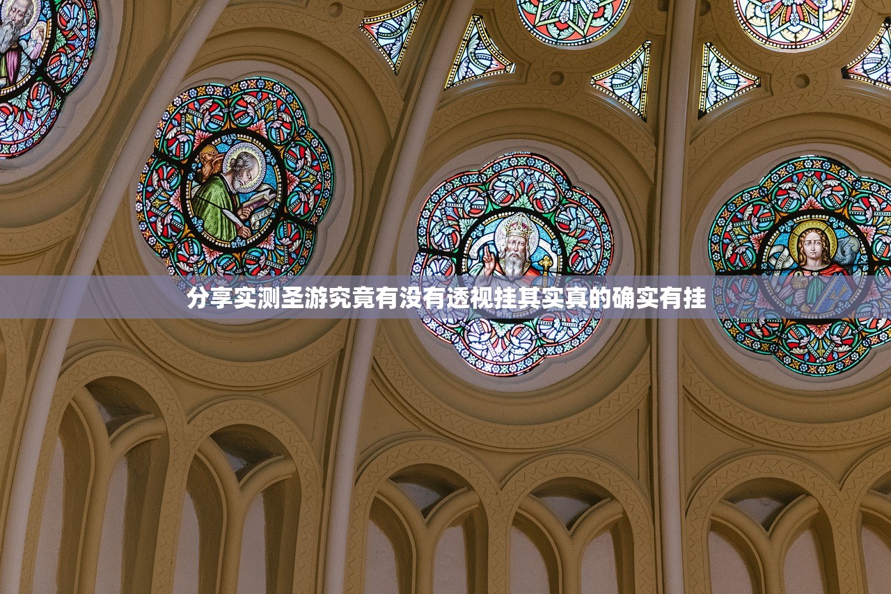 分享实测圣游究竟有没有透视挂其实真的确实有挂