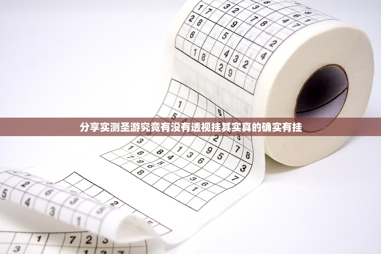 分享实测圣游究竟有没有透视挂其实真的确实有挂