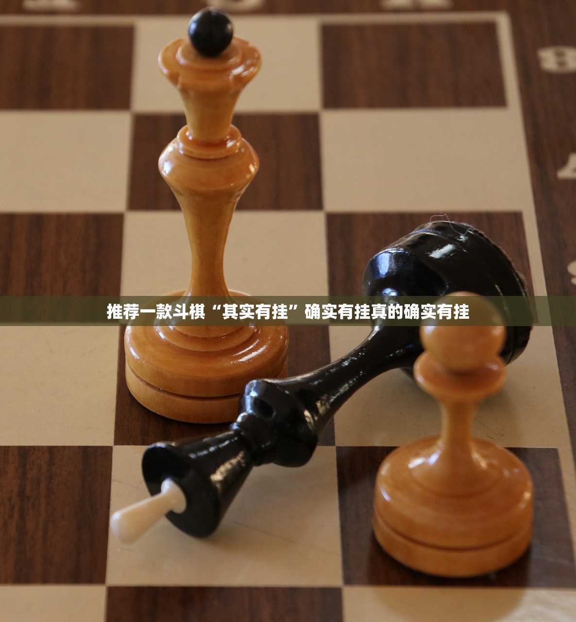 推荐一款斗棋“其实有挂”确实有挂真的确实有挂